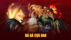 Đá gà cựa dao - Thể loại cá độ đẳng cấp tại nhà cái SV88 13 Thể thao đá gà cựa dao